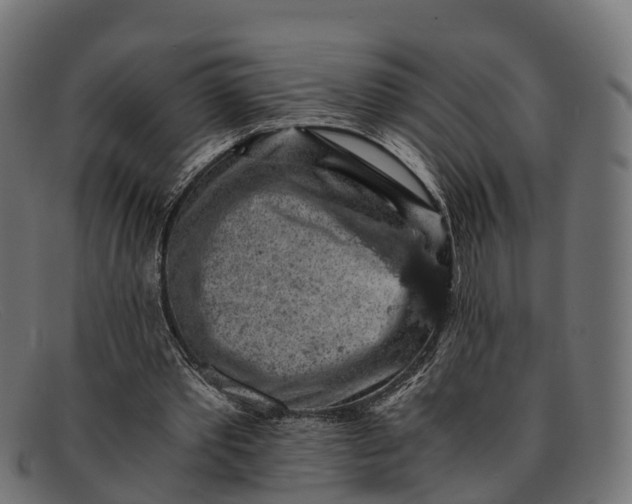 X0000091680389200709131552