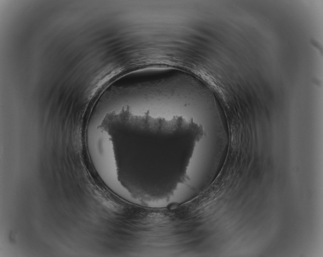 X0000091680390200709131552