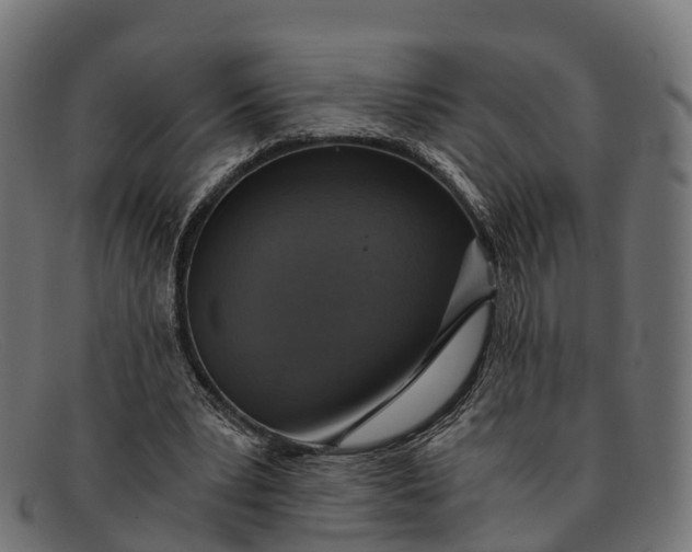 X0000091680391200709131551