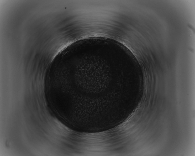 X0000091680392200709131551