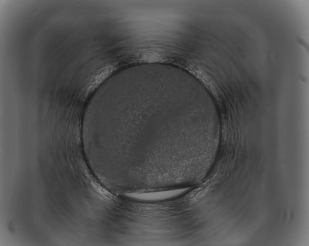 X0000091680393200709131551