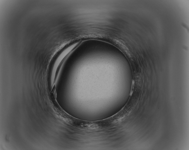 X0000091680395200709131551