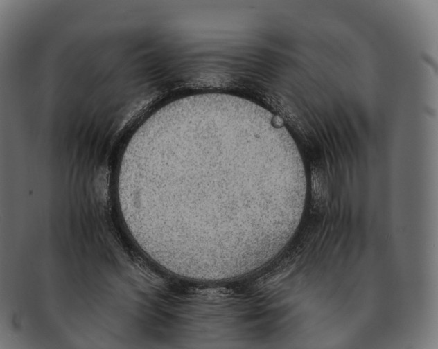 X0000091680396200709131551