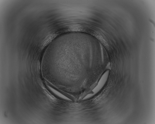 X0000091680397200709131551