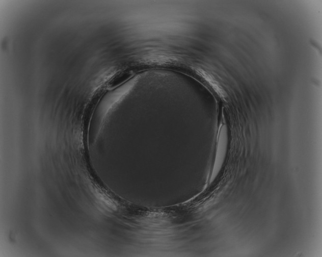 X0000091680399200709131551