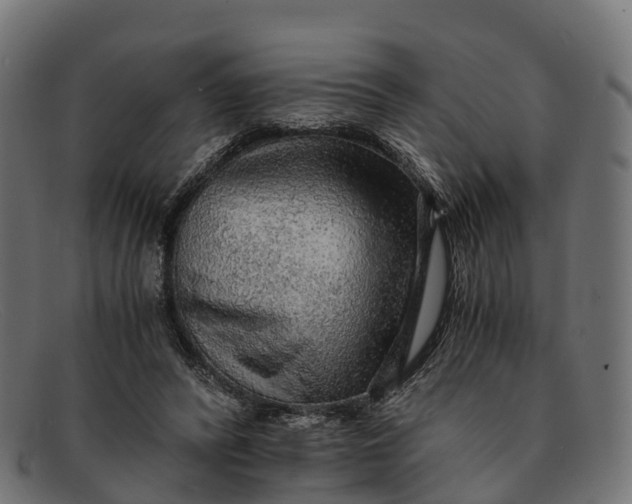 X0000091680400200709131551