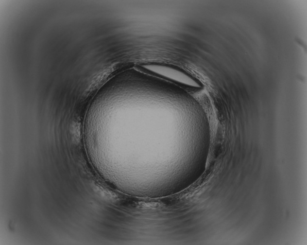 X0000091680401200709131551