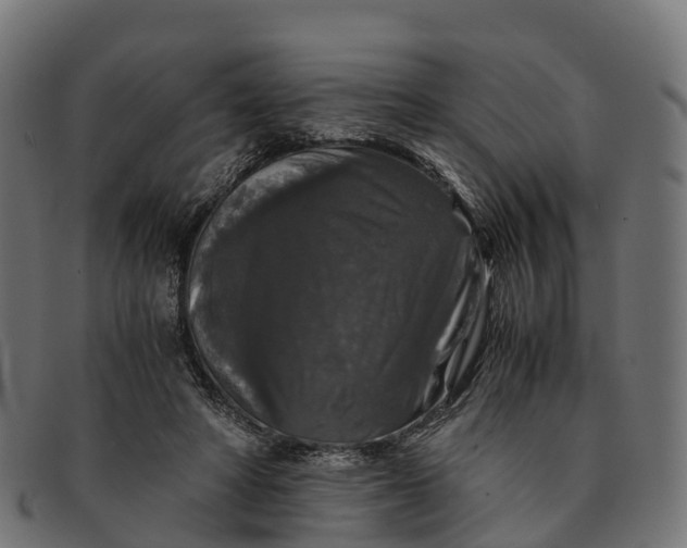 X0000091680402200709131551