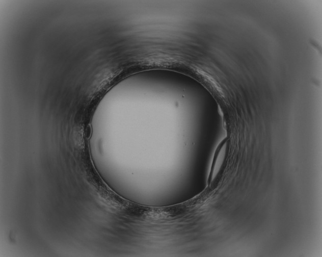 X0000091680403200709131551