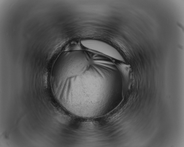 X0000091680404200709131551