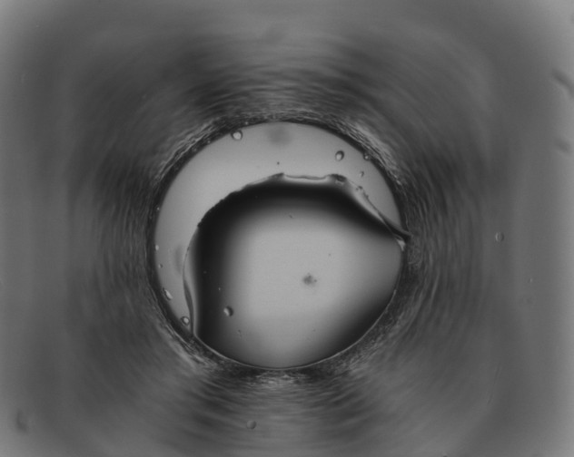 X0000091680405200709131551