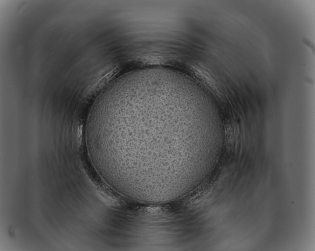 X0000091680406200709131551