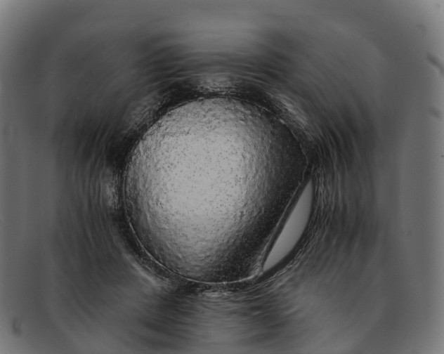 X0000091680408200709131551