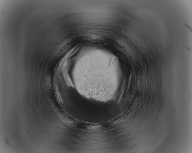 X0000091680410200709131551