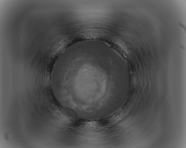 X0000091680411200709131551