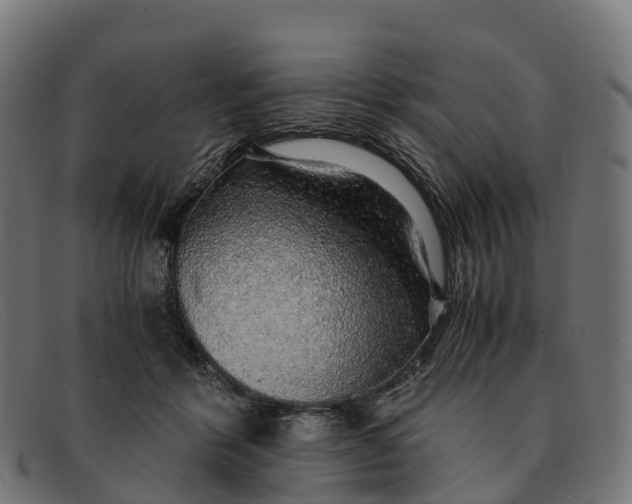 X0000091680412200709131551