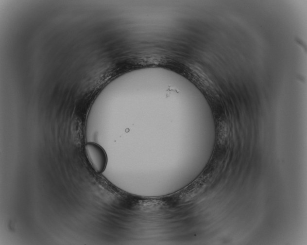 X0000091680414200709131551