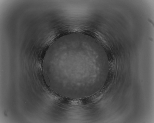 X0000091680415200709131551