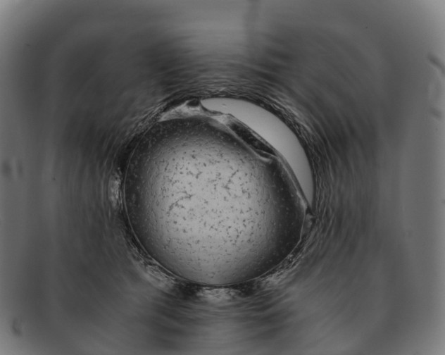 X0000091680417200709131551