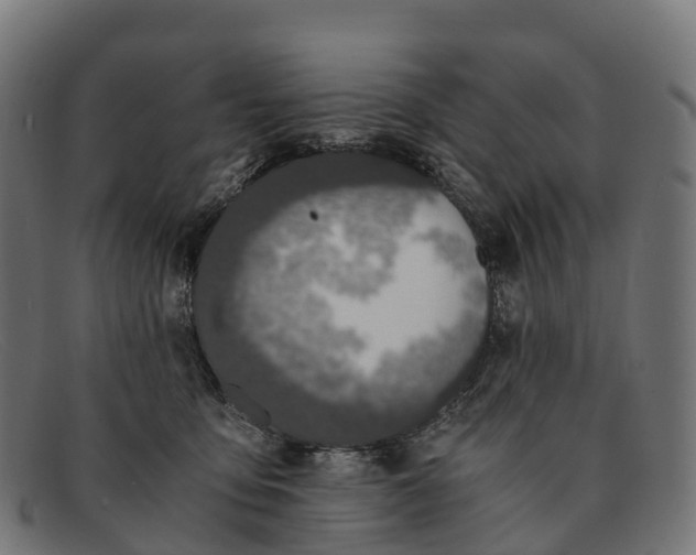 X0000091680419200709131551