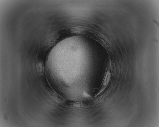 X0000091680420200709131551