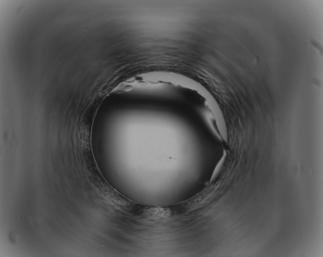 X0000091680421200709131551