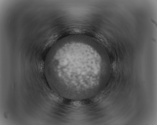 X0000091680423200709131551