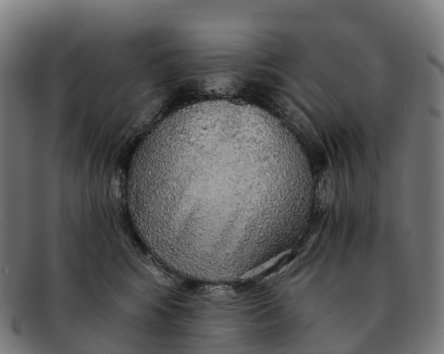 X0000091680424200709131551