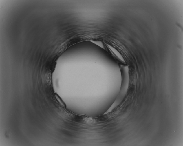 X0000091680425200709131551