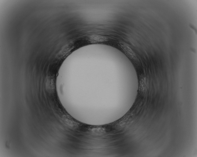 X0000091680426200709131551