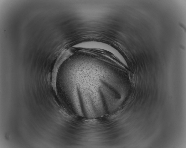 X0000091680428200709131551