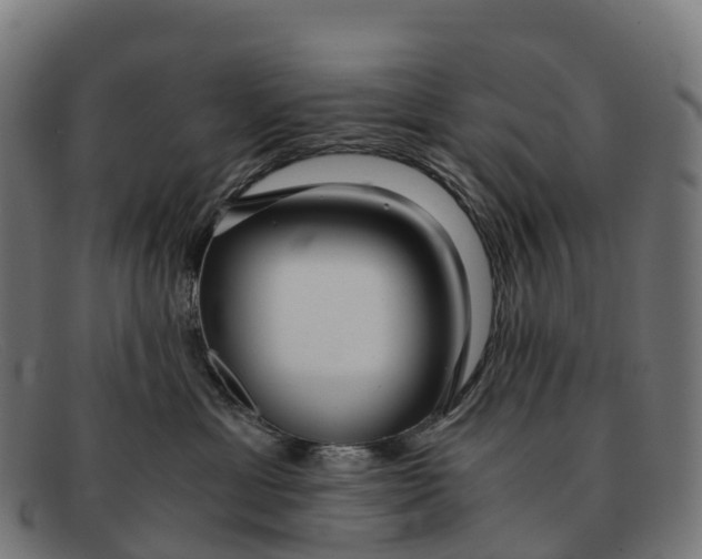 X0000091680429200709131551