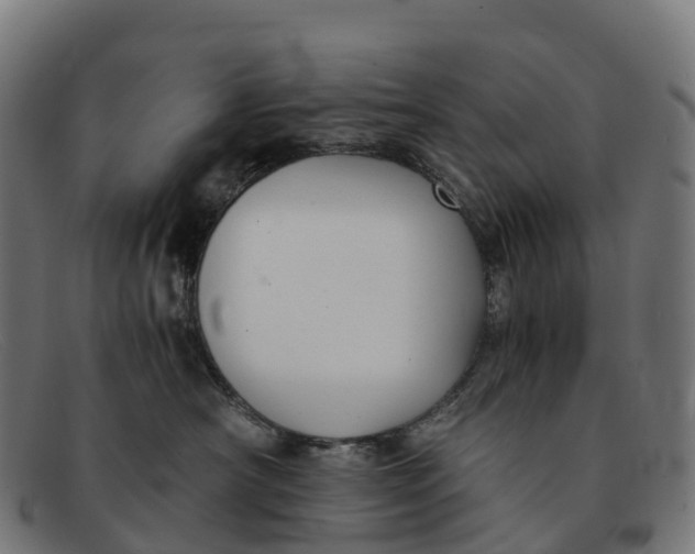 X0000091680430200709131551