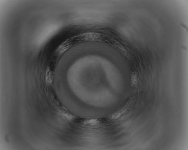 X0000091680431200709131551