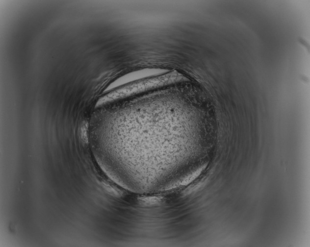 X0000091680432200709131551