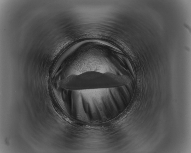 X0000091680434200709131550