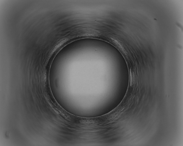 X0000091680435200709131550