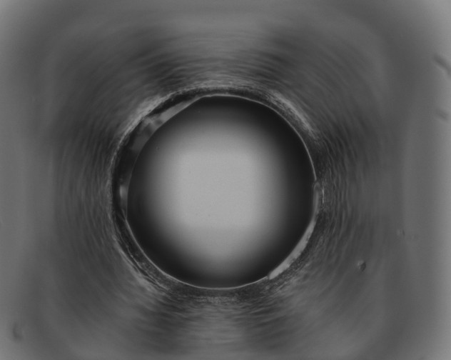 X0000091680436200709131550