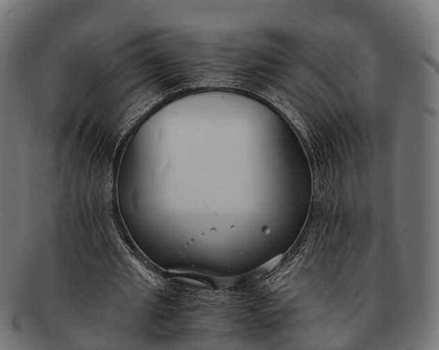 X0000091680437200709131550