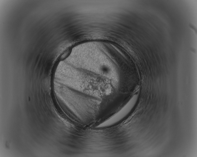 X0000091680438200709131551