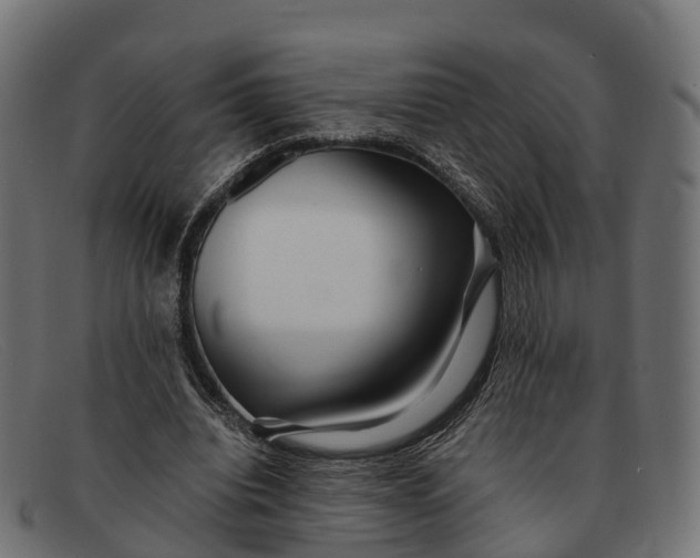 X0000091680440200709131551