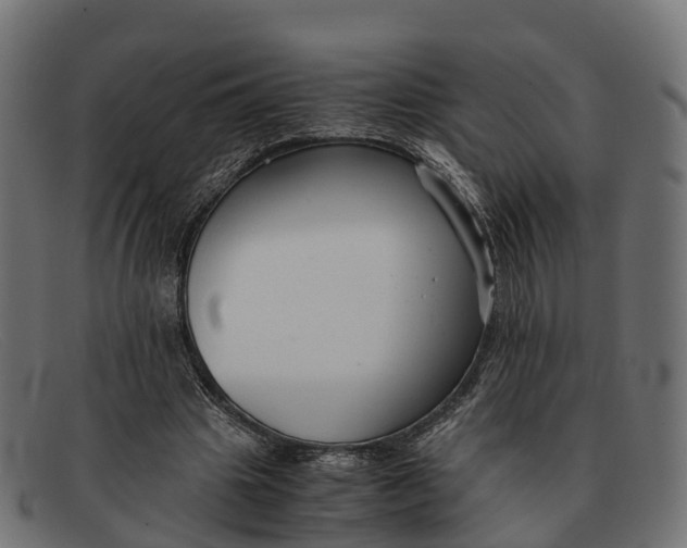 X0000091680441200709131551