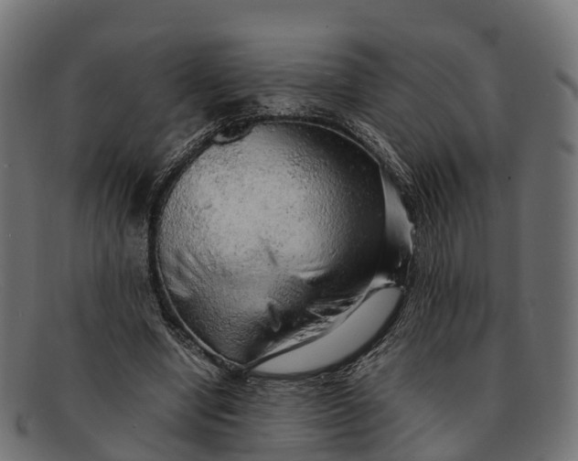 X0000091680442200709131551