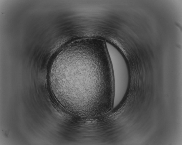 X0000091680443200709131551