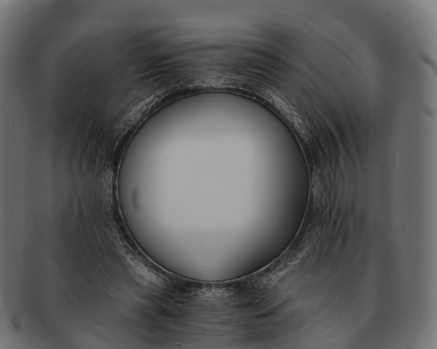 X0000091680445200709131551