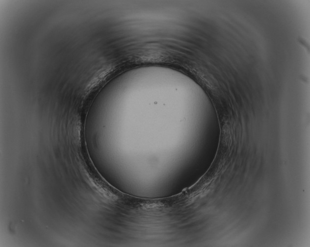 X0000091680446200709131551