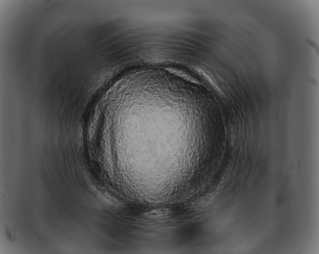 X0000091680447200709131551