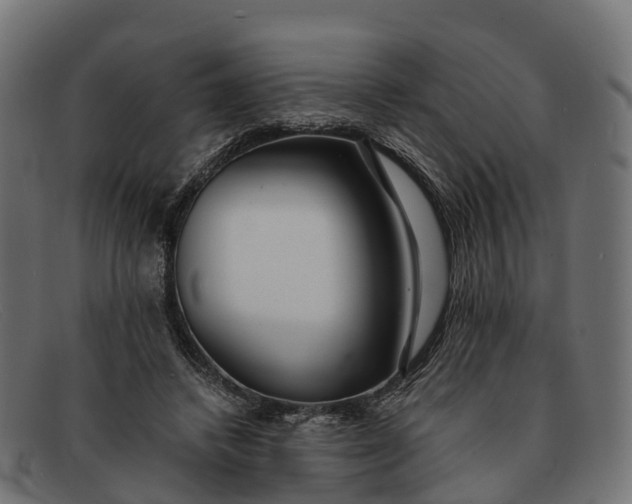 X0000091680448200709131551