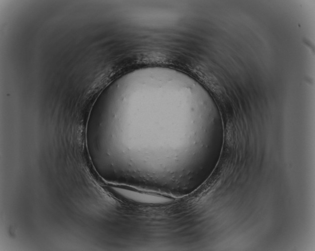 X0000091680449200709131551