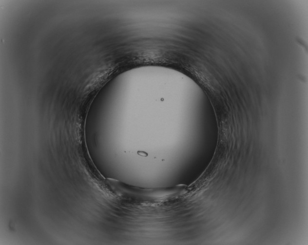 X0000091680450200709131551